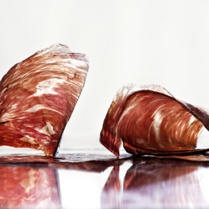 CECINA PT 80G S/V 18M