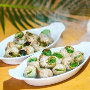 ESCARGOT GROS X48 SURG