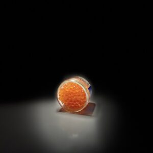 OEUF DE SAUMON POT 100G