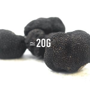 TRUFFE TUBER MELANOSPORUM 20G